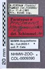 Etikett zu Melanoxanthus mirabilis (Fleutiaux, 1928)